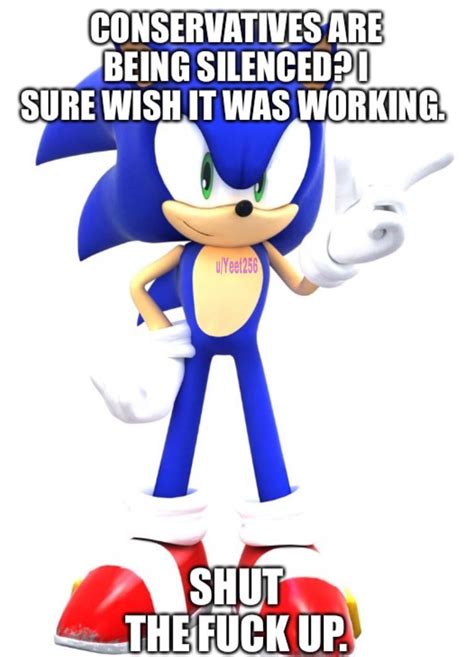 Sonic says conservative cringe?!??😱😱😱 : r/okbuddycapitalist