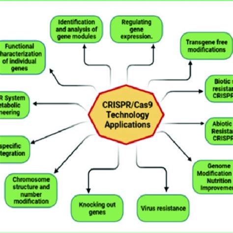 Direct applications of CRISPR/Cas technology | Download Scientific Diagram