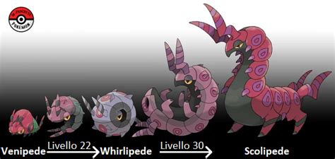 Whirlipede | Analisi Pokémon Wiki | Fandom