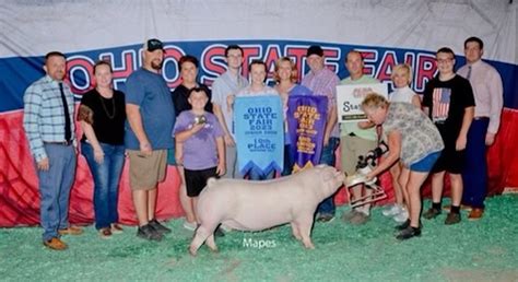 10th Overall Gilt & Champion Landrace - 2023 Ohio State Fair Jr Show ...