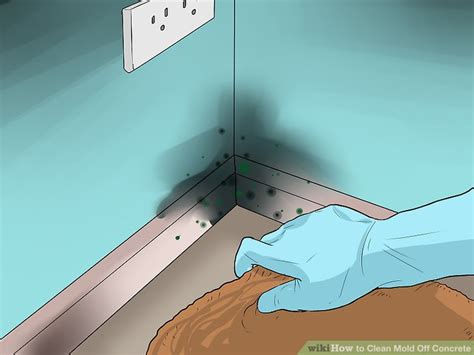 How to Clean Mold Off Concrete: 13 Steps (with Pictures) - wikiHow