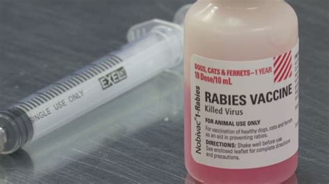 Jefferson County seeing rabies cases earlier this year | WBMA