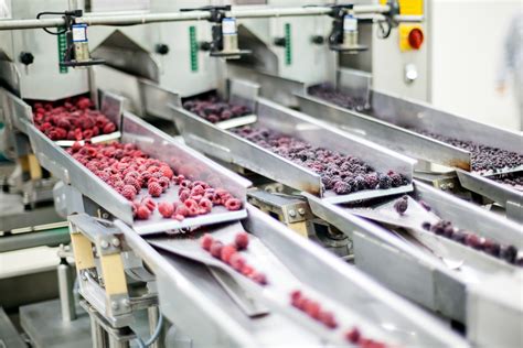 How Food Processing Methods Affect Your Packaging Methods? - Tech Strange