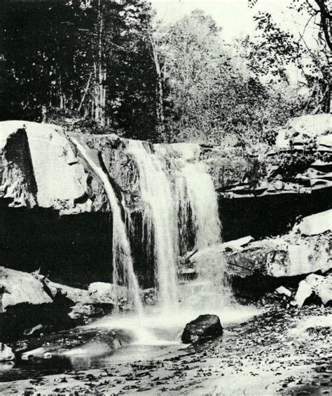 Site of Fallingwater before construction of house | Falling water frank lloyd wright, Frank ...