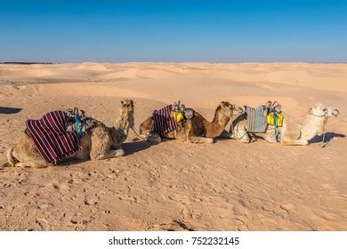 368 Kebili tunisia Images, Stock Photos & Vectors | Shutterstock