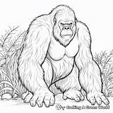 Ape Coloring Pages  Free & Printable sketch template