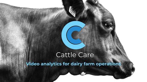 Cattle Care | Dairy Management Software