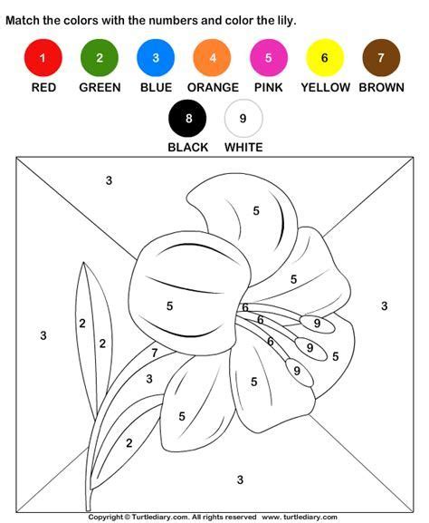 Download and print turtle diary s color by matching with – Artofit