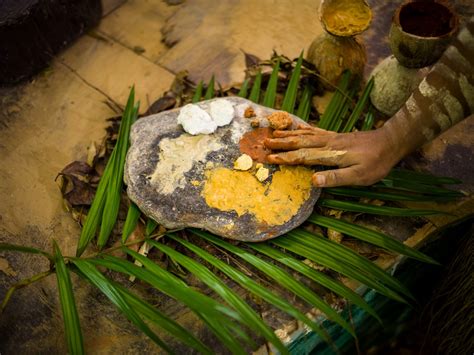 Australian Bush Foods & Indigenous Flavours | Queensland