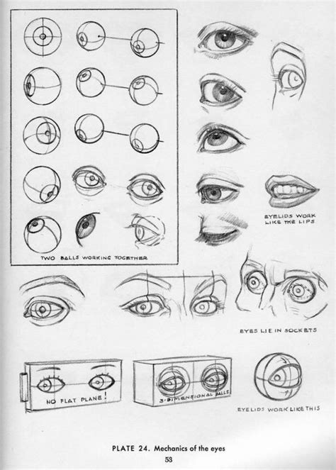 Sculpting Eyes Drawing The Human Body Drawings, Andrew Loomis, Art ...