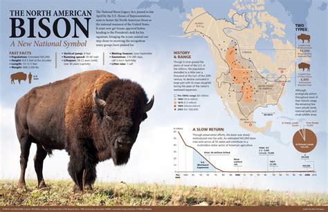 How Many Bison Are Left In 2024 Usa - Babbie Nalani