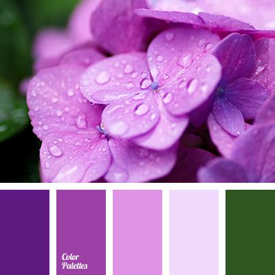 Color Palette #2339 | Color Palette Ideas