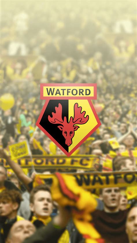 Watford F.C. Wallpapers - Wallpaper Cave