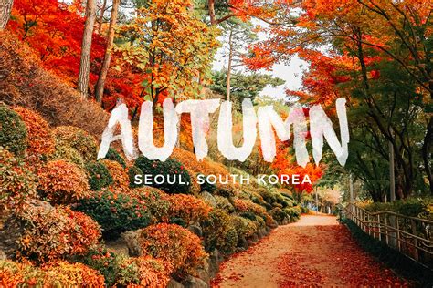 The Geek Travels: Autumn in Seoul, South Korea