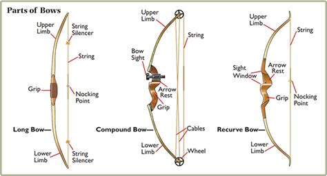 Archery and bowhunting basics: Types of bows