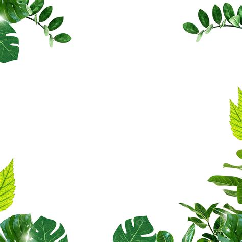 Tropical Leaf Border Green Plant, Plant Clipart, Tropical, Leaf PNG Transparent Clipart Image ...