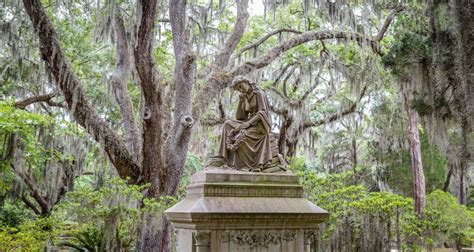 Best Sightseeing and Historic Tours | Savannah Travel Blog