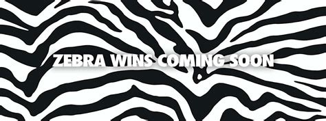 Zebra Wins - New SkillOnNet Casino Site - Read Our Review