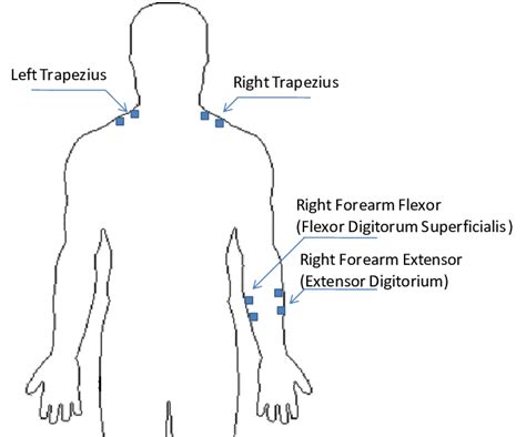 Placement of EMG electrodes | Download Scientific Diagram