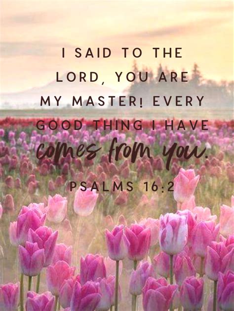 Psalm 16:2 🌷 | Inspirational bible verses, Psalms, Biblical verses