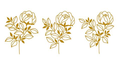 Gold Rose Outline Images – Browse 9,041 Stock Photos, Vectors, and ...