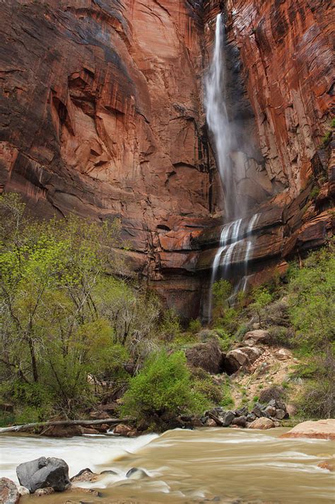 Waterfall In Zion National Park by Laszlo Podor