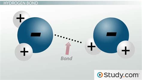 Intermolecular Forces | Types, Effects & Examples - Lesson | Study.com