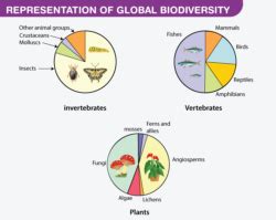 Species Diversity: Definition, Importance, Examples, Threats, Conservation