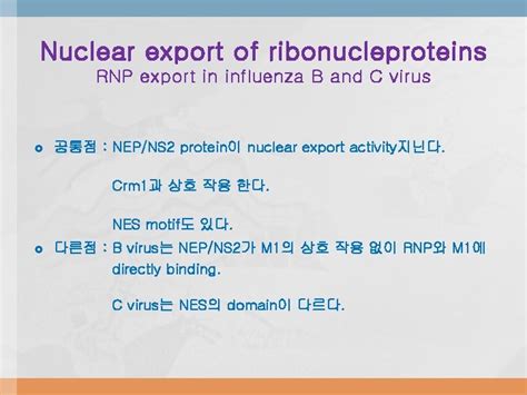 Orthomyxoviridae The viruses and their replication stages of