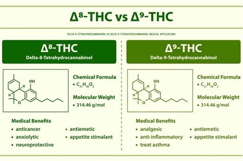 What Is Delta 8 THC?