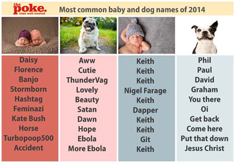 The Most Common Baby & Dog Names Of 2014 - The Poke