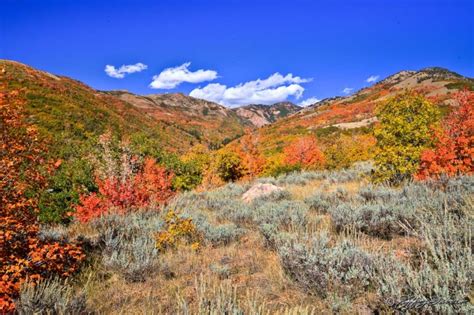 Fall Colors Below Powder Mountain - Jeffrey Favero Fine Art Photography