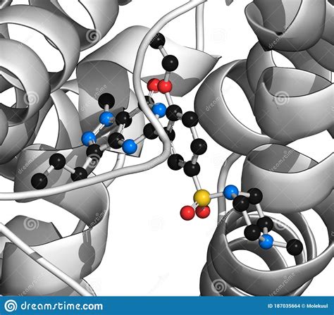 Phosphodiesterase 5 (PDE5) Enzyme. Inhibition of this Enzyme is the ...