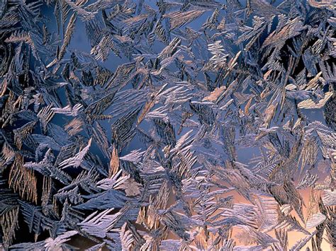 Frost crystals and shapes image - Free stock photo - Public Domain photo - CC0 Images