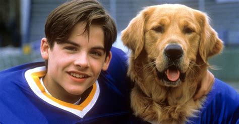 Air Bud: Golden Receiver streaming: watch online