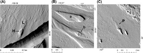 3 (A) Low-elevation island (L) and high-elevation island (H) in upper... | Download Scientific ...