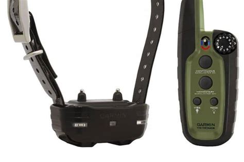 How the Garmin Sport Pro Collar Can Help You Train Your Dog