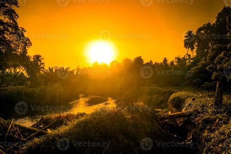 Golden sunset over forest and river 6169511 Stock Photo at Vecteezy