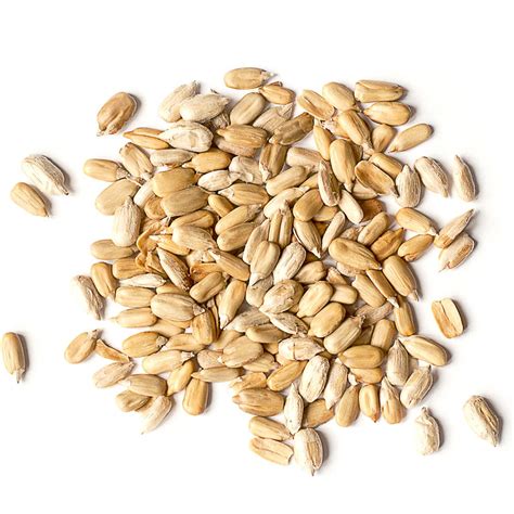 Sunflower Seeds | Buy Sunflower Seeds in Bulk from Food to Live