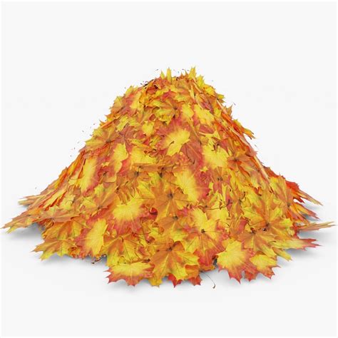 3D model Leaf Pile | CGTrader