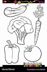 Cartoon Vegetables Set For coloring Book Vector Image sketch template
