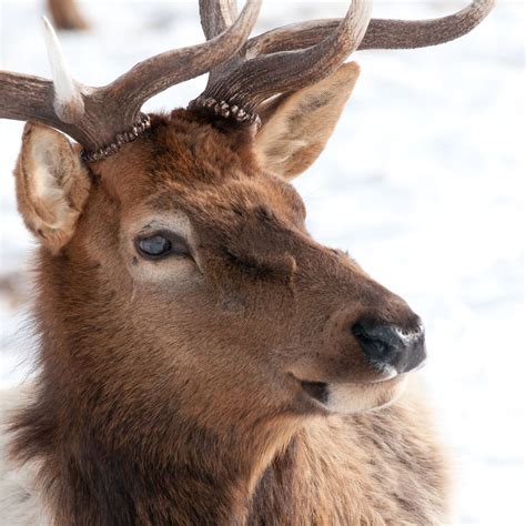 _DSC0660 - Wyoming Wildlife Advocates