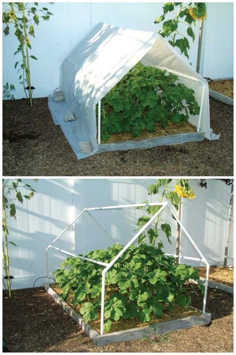 16 PVC Greenhouse Plans Help You to Build A Cheap Greenhouse