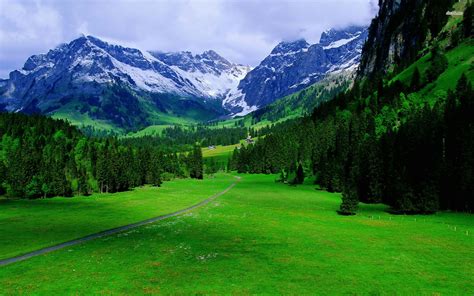 beauty of Switzerland | Truly Hand Picked