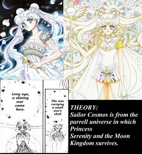 Sailor Cosmos from Sailor moon memes on Facebook | Sailor moon character, Sailor chibi moon ...