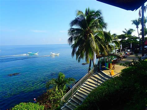 Best Dive Resorts in Anilao | Eagle Point Resort