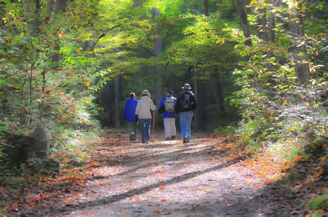 Top Scenic Hiking Trails in Wears Valley, Tennessee