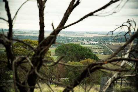 Postcards From The Barossa Valley - Cook Republic