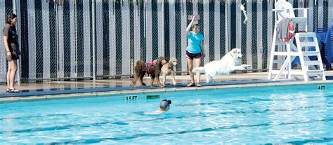 Pool season closes with Dog Splash | Article | The United States Army