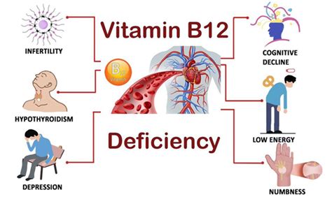 Herbal Remedies for Vitamin B12 Deficiency, Ayurvedic Treatment, Natural Treatment